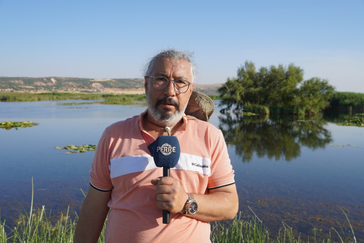 Gölbaşı’nda doğa, fotoğrafla buluştu: Nilüferden ayçiçeğine, yıldızlardan tren garına bir keşif turu