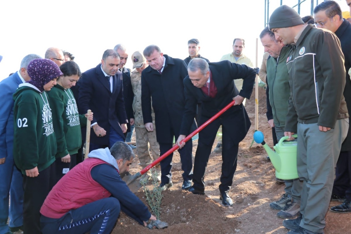 15 Temmuz şehitleri anısına 251 fidan toprakla buluştu  - Videolu Haber