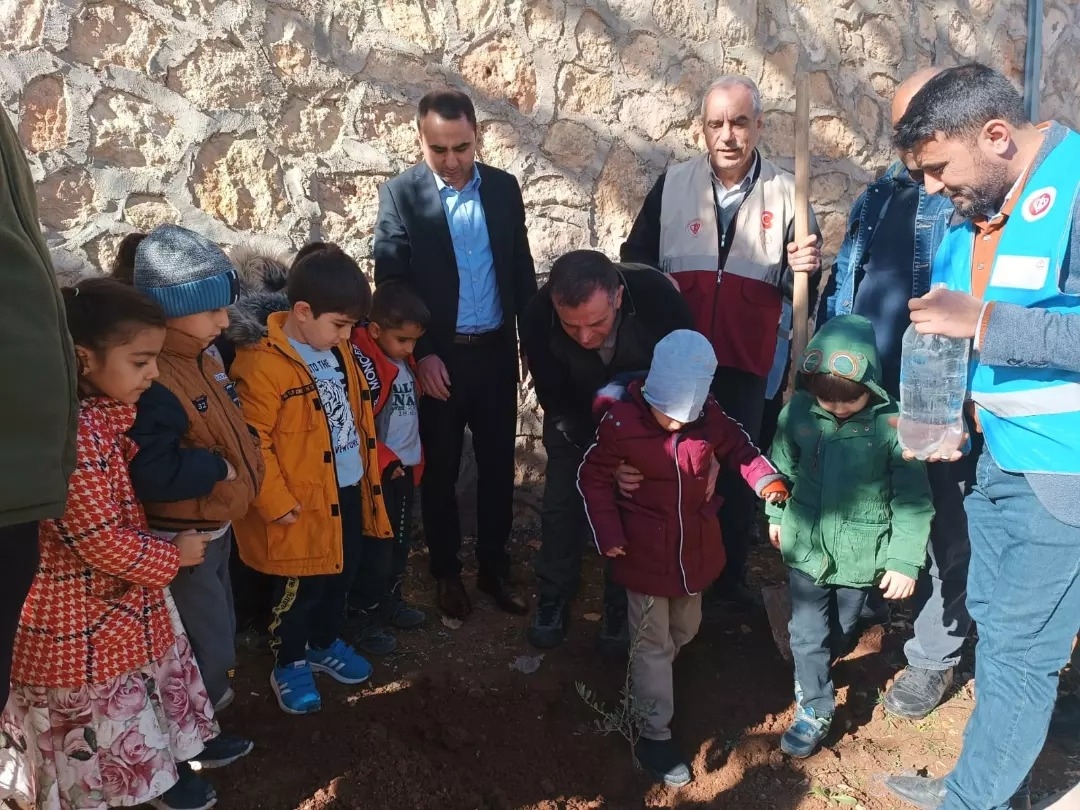 Camilerde ağaçlandırma çalışması