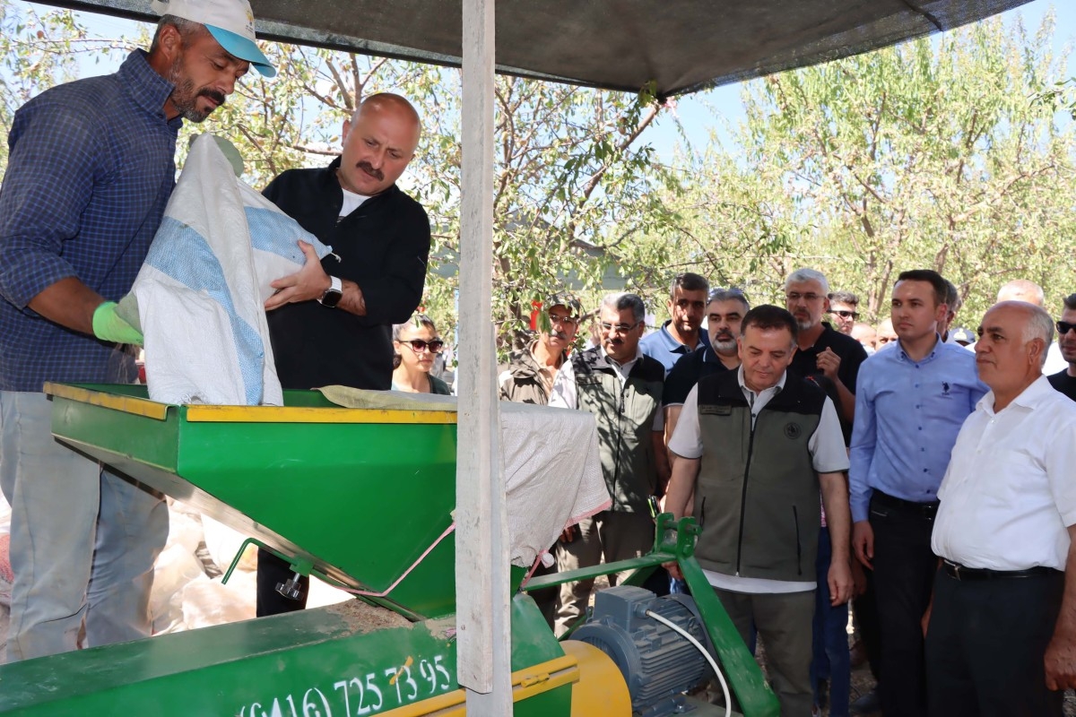 Adıyaman'da badem hasadı başladı