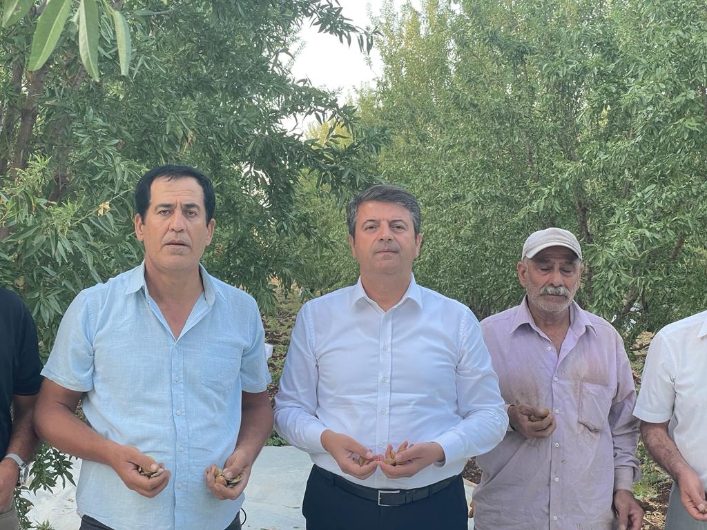 Milletvekili Tutdere: İktidar yandaşa bol keseden dağıtırken çiftçiye gelince cimri