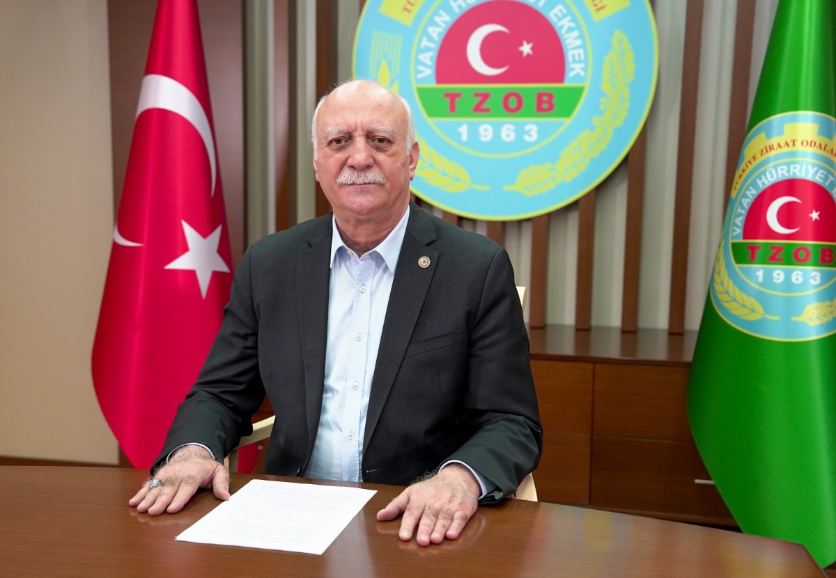 Zeytinyağında taklit ve tağşiş devam ediyor  - Videolu Haber