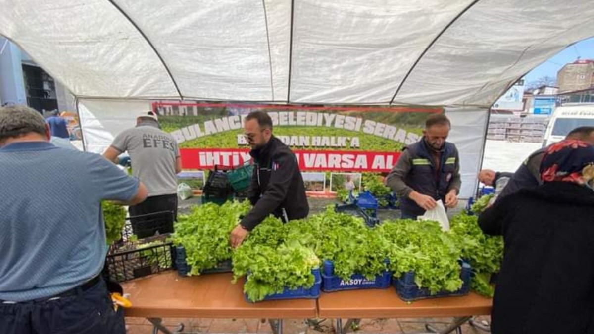Bulancak'ta ücretsiz marul dağıtılacak