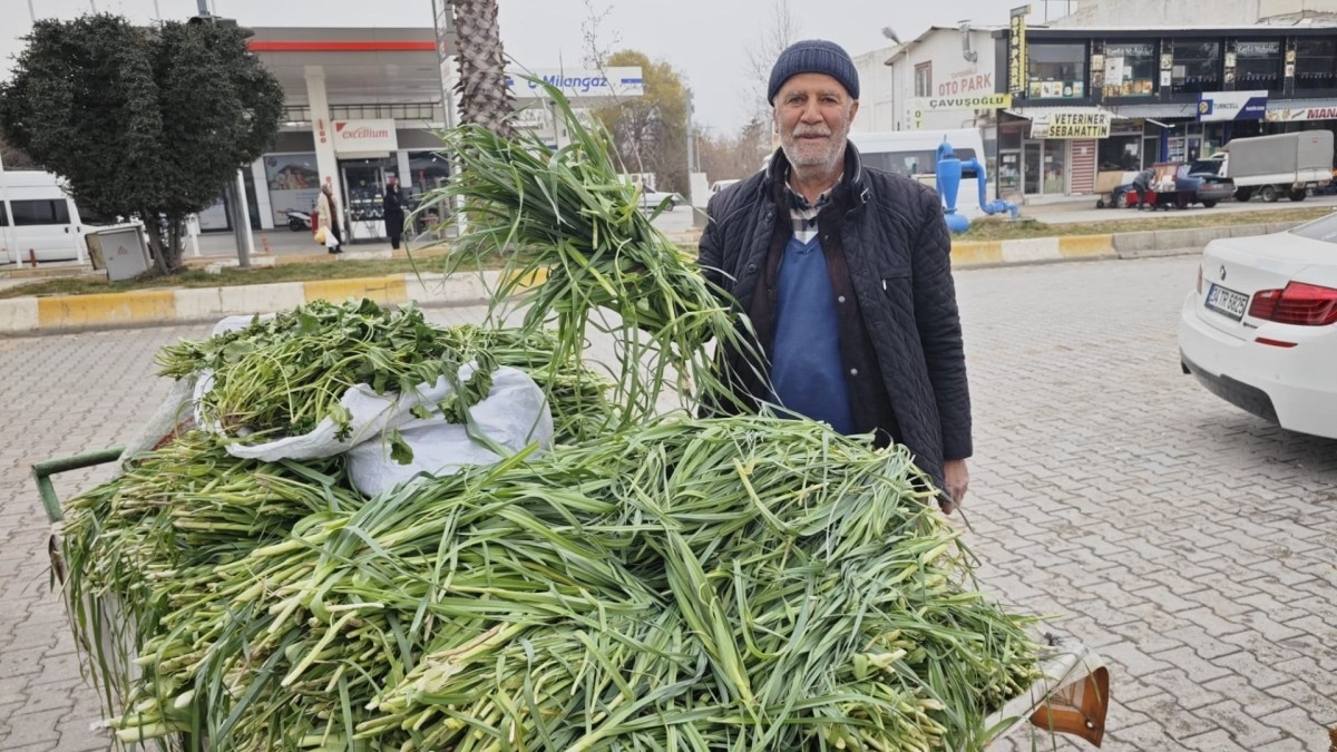 Kâhta’da bahar gelmeden 'Sirim Otu Tezgâhlarda Yerini Aldı'
