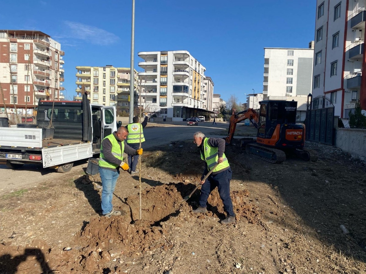 Kahta Belediyesi ağaçlandırma çalışmalarını hızlandırdı