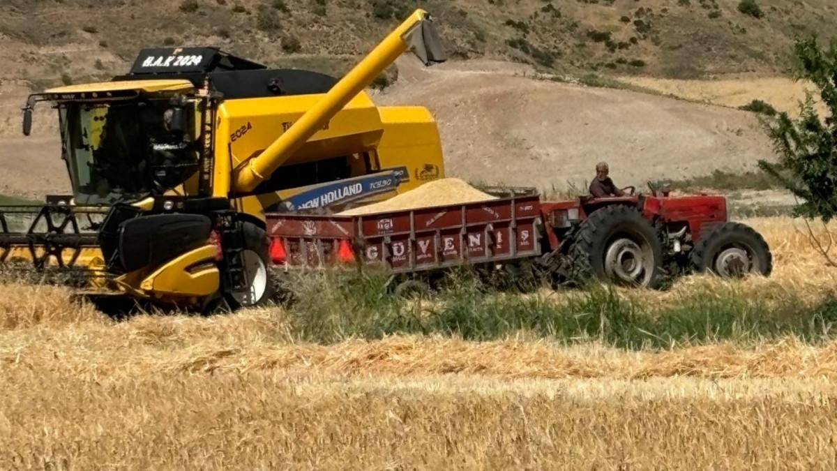 TMO hububat alım fiyatlarını açıkladı: Adıyaman’da destek ödemeleriyle buğday 16.020 TL’ye kadar yükselecek