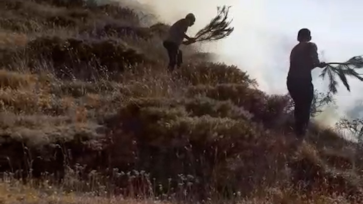 Adıyaman Koçali Köyü'nde orman yangını helikopter desteğiyle söndürüldü  - Videolu Haber