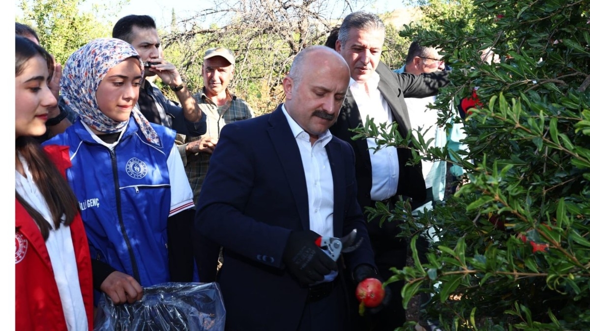 Adıyaman’da gönüllü gençlerle nar hasadı gerçekleştirildi
