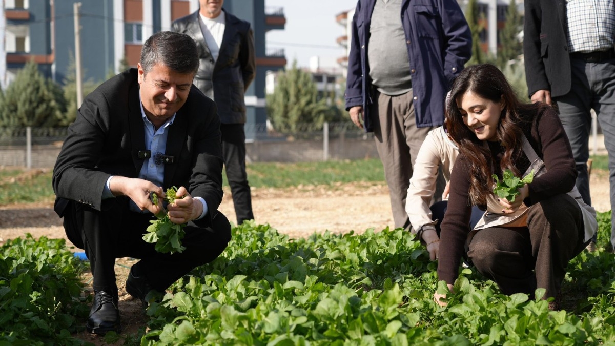 Adıyaman Belediyesi’nin üretim tarlasından ilk hasat vatandaşa ücretsiz ulaştı  - Videolu Haber