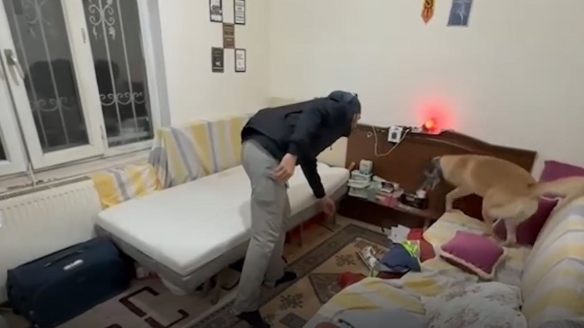 Adıyaman’da güvenlik operasyonları: 76 aranan şahıs yakalandı  - Videolu Haber