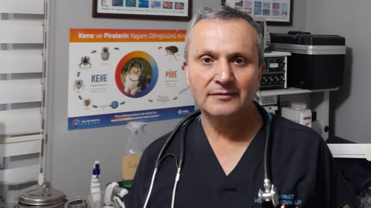 Kış aylarında hayvanlarda solunum yolu hastalıkları arttı