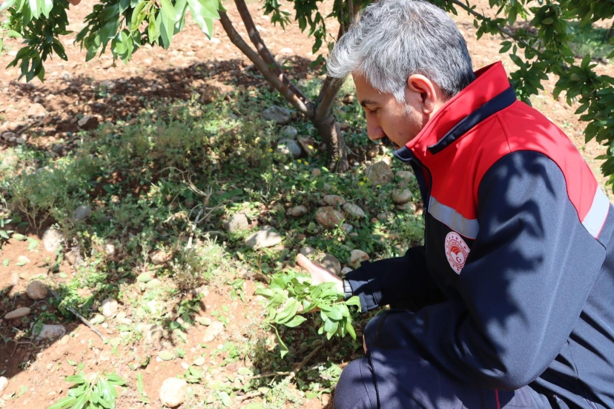 Tarım ve Orman İl Müdürü Akkan, TRT GAP’ta tarımsal yağışları değerlendirecek