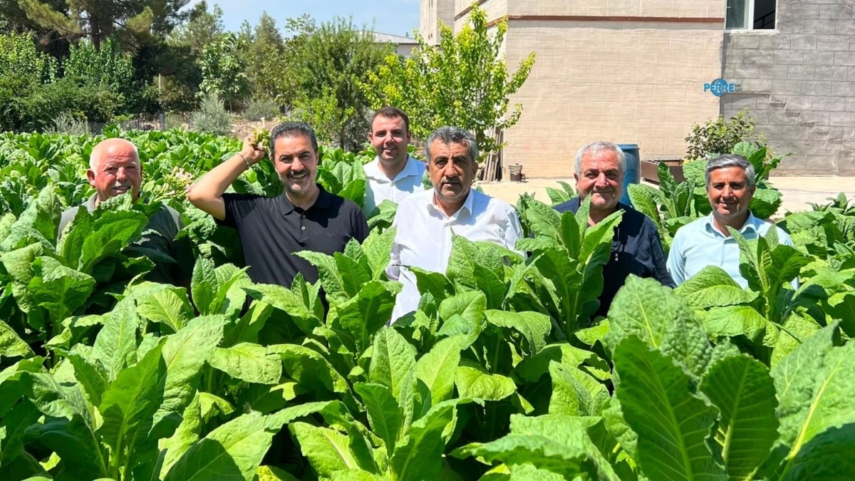 Genel Başkan Yardımcısı Bilal Yıldırım’dan Adıyaman'da tütün üreticisine destek açıklaması  - Videolu Haber