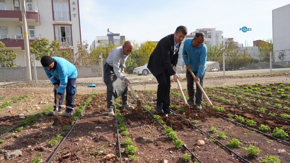 Tutdere’den üretim atağı: Uygun fiyatlı ekmek, yumurta ve sebze vatandaşla buluştu  - Videolu Haber