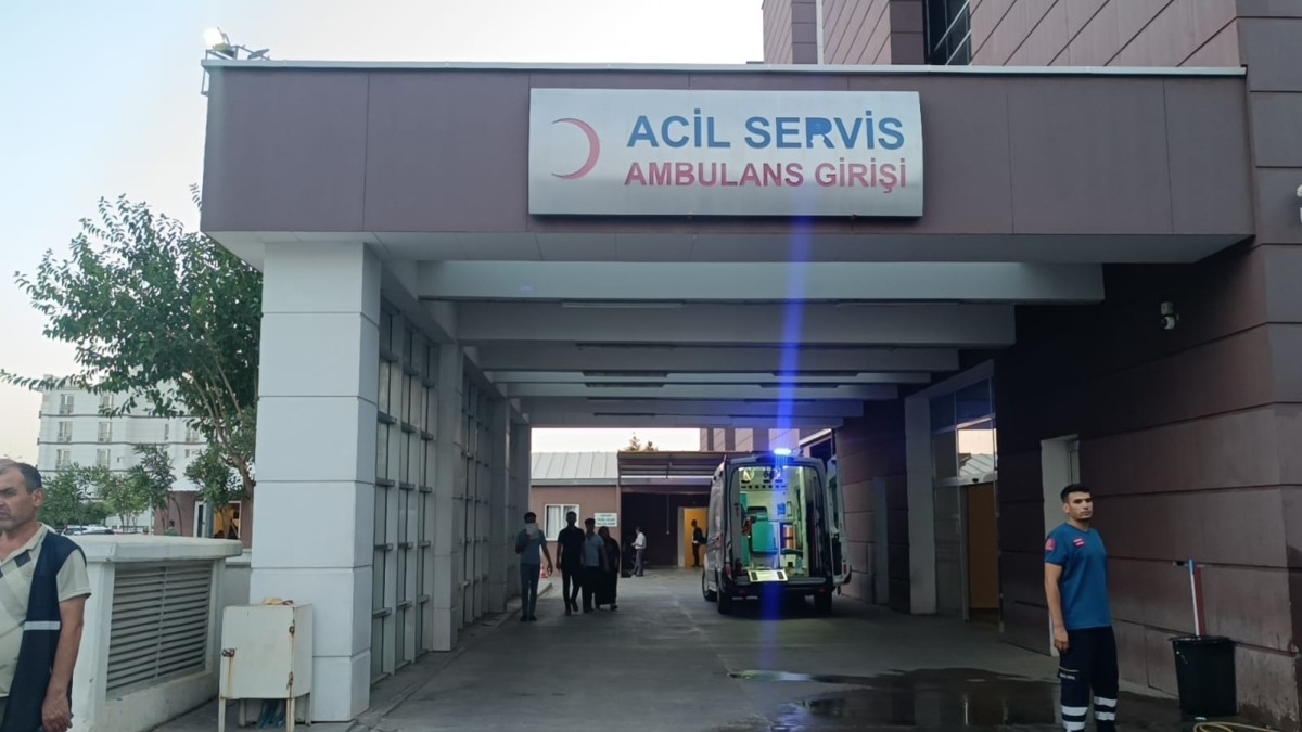 Zeytin toplamak için çıktığı ağaçtan düşerek yaralandı
