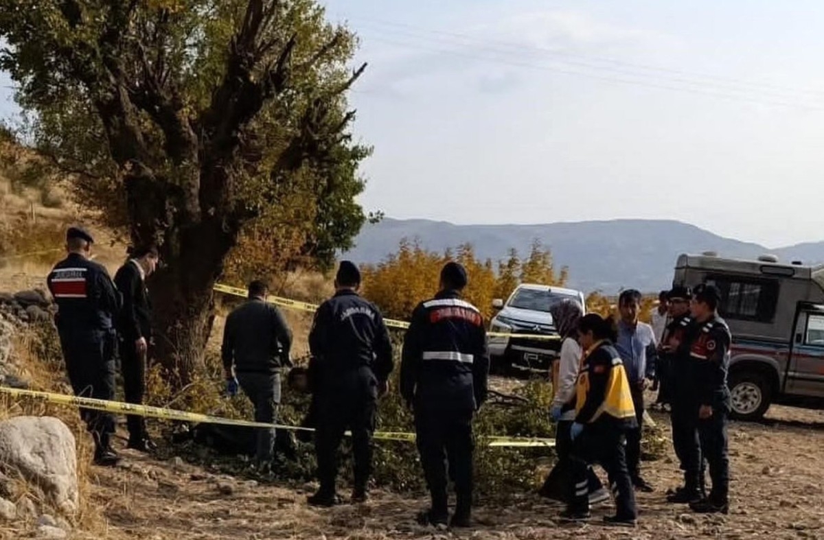 Adıyaman’da budama yaptığı ağaçtan düşen yaşlı adam hayatını kaybetti