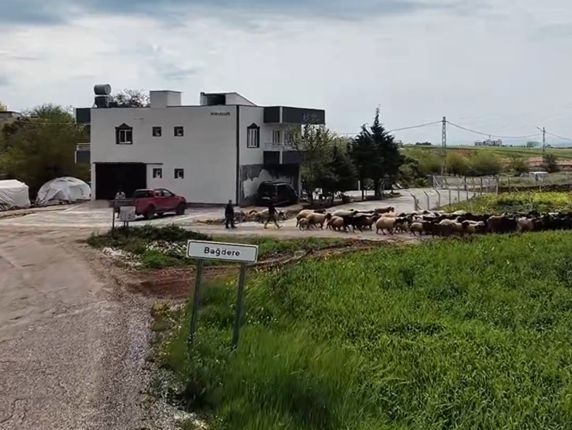 Adıyaman İl Özel İdaresi Çalışmalarını Aralıksız Sürdürüyor  - Videolu Haber
